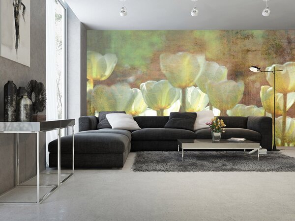 Nem szőtt fotótapéta absztrakt fehér tulipán 375 x 250 cm