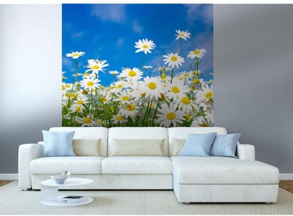 Nem szőtt fotótapéta százszorszépek 225 x 250 cm