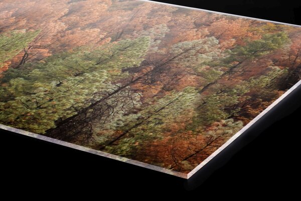Plexi a konyhapult mögött színes fenyőliget - 60 x 60 cm