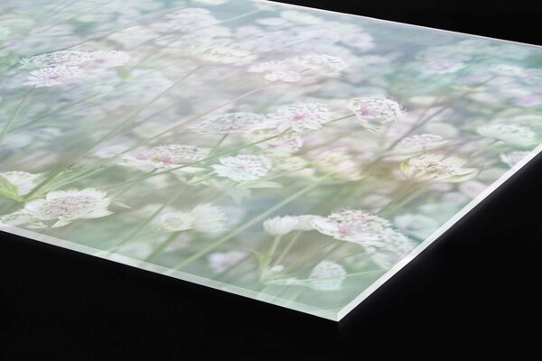 Plexi a konyhapult mögött virágzó rét - 240 x 60 cm