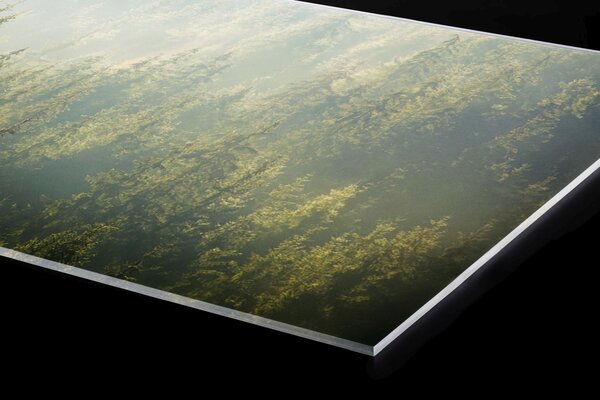 Plexi a konyhapult mögött ködös erdő - 80 x 40 cm