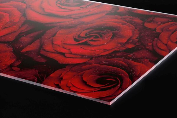 Plexi a konyhapult mögött vörös rózsák - 60 x 40 cm