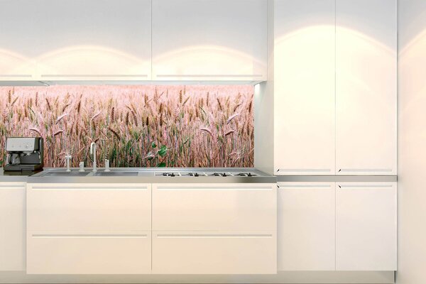 Konyhai fotótapéta - búzamező 180 x 60 cm