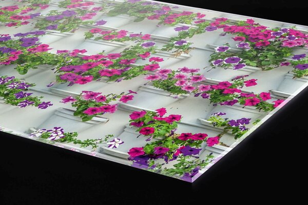 Plexi a konyhapult mögött virágok cserépben - 80 x 60 cm