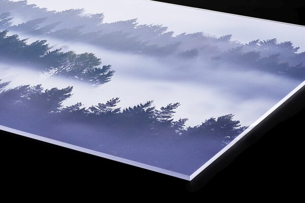 Plexi a konyhapult mögött köd a fák között - 60 x 60 cm