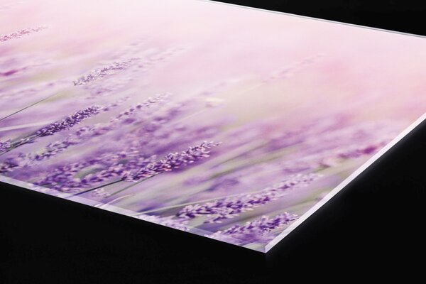 Plexi a konyhapult mögött levendula - 60 x 60 cm