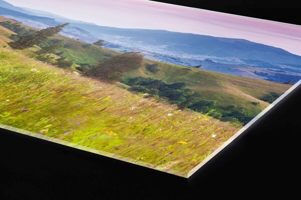 Plexi a konyhapult mögött természet vörösbegyekkel - 100 x 60 cm