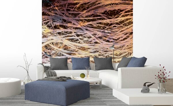 Nem szőtt fotótapéta hay absztrakt i. 225 x 250 cm