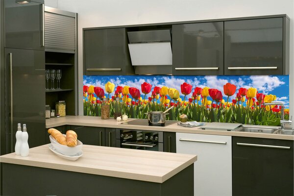 Konyhai fotótapéta - tulipán mező 260 x 60 cm