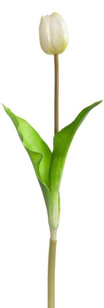 LEONARDO SAVONA tulipán 36cm, fehér