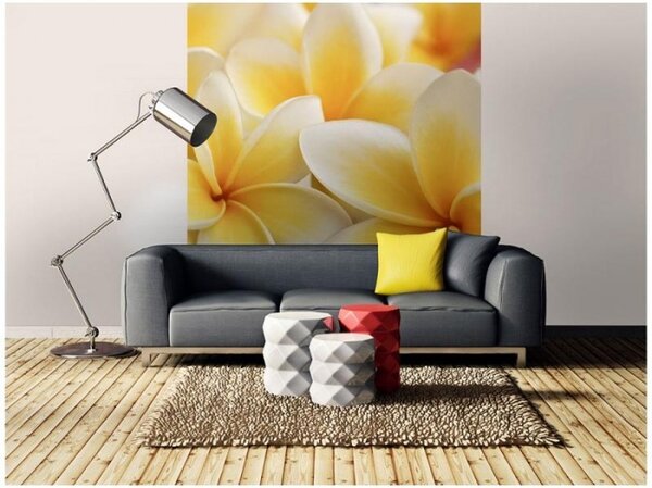 Nem szőtt fotótapéta plumeria 225 x 250 cm