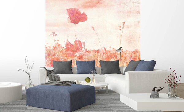 Nem szőtt fotótapéta absztrakt pipacsok 225 x 250 cm
