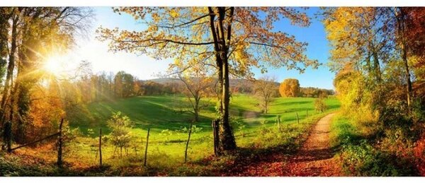 Panorámás nem szőtt fotótapéta rét 375 x 150 cm