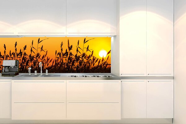 Konyhai fotótapéta - nád 180 x 60 cm