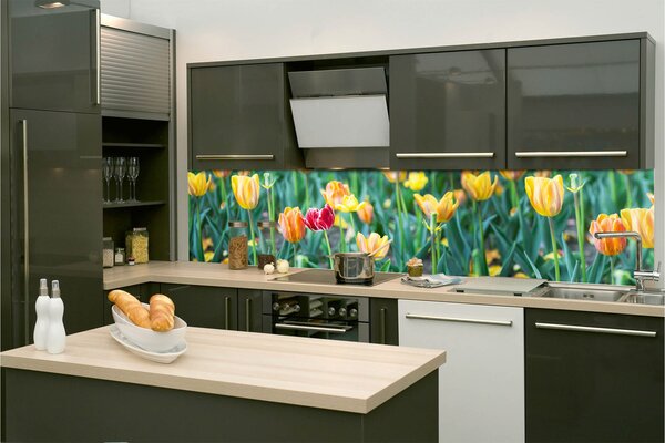 Konyhai fotótapéta - tulipánok 260 x 60 cm