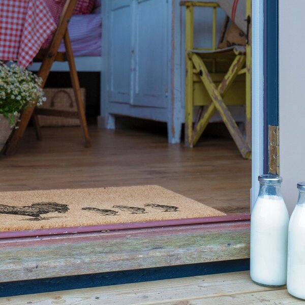 Kókuszrost lábtörlő 40x60 cm Chickens and Chicks – Artsy Doormats