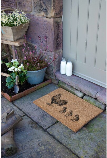 Kókuszrost lábtörlő 40x60 cm Chickens and Chicks – Artsy Doormats