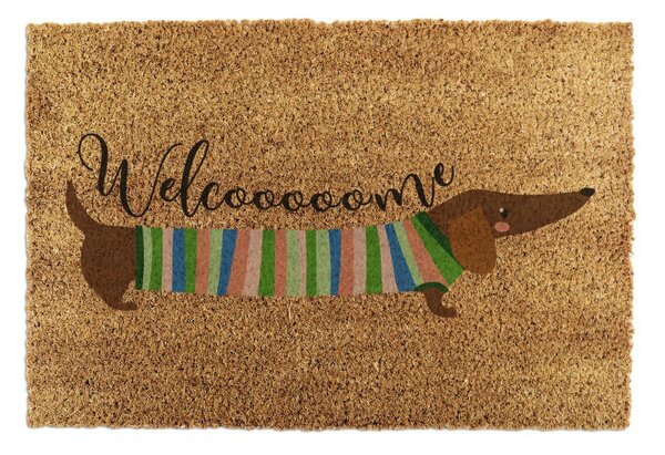 Kókuszrost lábtörlő 40x60 cm Welcome Sausage Dog – Artsy Doormats