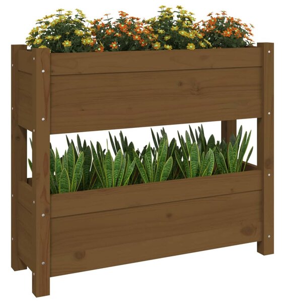 Mézbarna tömör fenyőfa növénytartó 77x25x66 cm