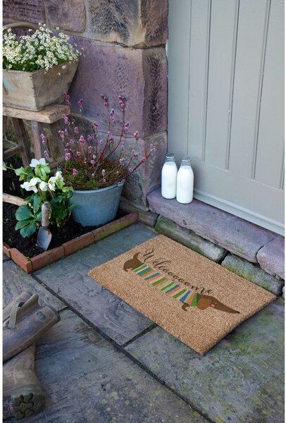 Kókuszrost lábtörlő 40x60 cm Welcome Sausage Dog – Artsy Doormats