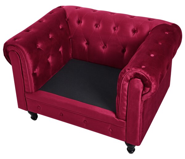 Fotel CHESTERFIELD Bársony Burgundi