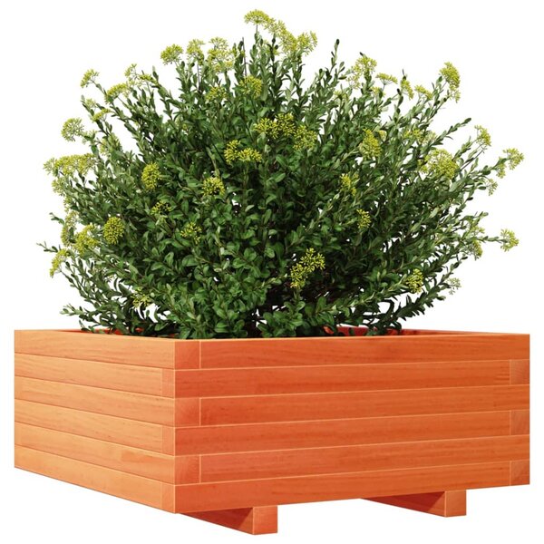 VidaXL viaszbarna tömör fenyőfa kerti virágláda 60 x 60 x 26,5 cm