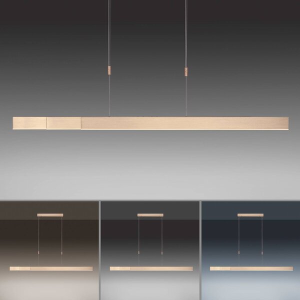 PURE Moto LED lógó világítás, császári arany, dimmelhető, CCT, dimmelhető, Sárgaréz / arany, Nappali / Étkező, fém, Modern