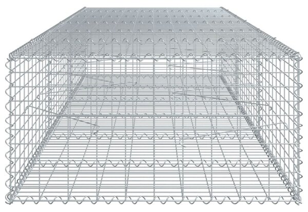 Horganyzott vas gabion kosár fedéllel 300 x 100 x 50 cm