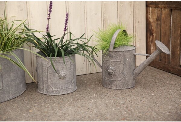 Fém locsolókanna 4,55 l Lion – Esschert Design