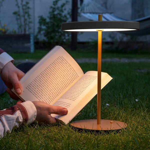 UMAGE LED tölthető asztali világítás Asteria Move antracit/sárgaréz 31 cm, dimmelhető, Sárgaréz / arany, Nappali / Étkező, fém, Dizájn