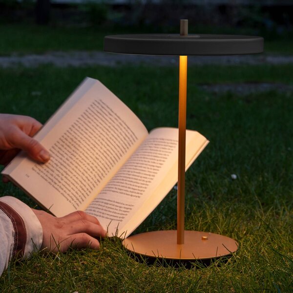 UMAGE LED tölthető asztali világítás Asteria Move antracit/sárgaréz 31 cm, dimmelhető, Sárgaréz / arany, Nappali / Étkező, fém, Dizájn