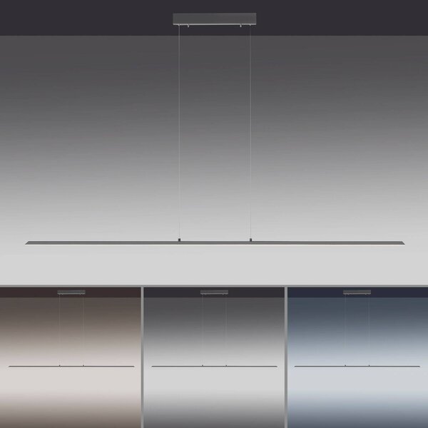 PURE LED függőlámpa Lite, antracit, 160 cm, CCT, dimmelhető, dimmelhető, Fekete, Nappali / Étkező, Alumínium, Modern