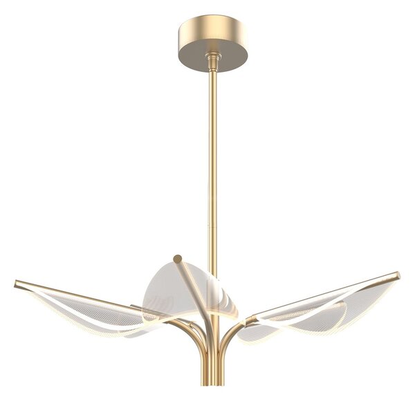 Quintiesse modern függeszték floriana sárgaréz elsqn-floriana-psnbr