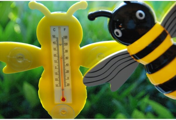 Kültéri hőmérő Bee – Esschert Design
