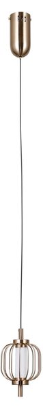 Italux modern függeszték pedro arany itxpnd-34405-1-hbr