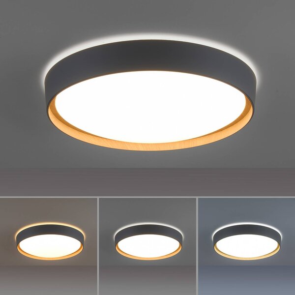 Q-Smart-Home Paul Neuhaus Q-EMILIA LED mennyezeti világítás, szürke/fa, dimmelhető, Alu / szürke / cink, Nappali / Étkező, fém