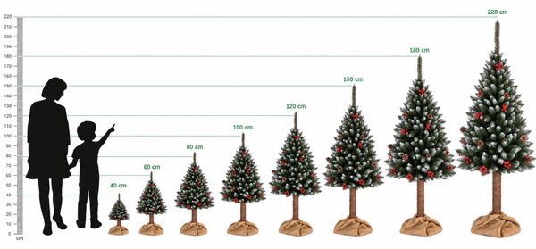 JAKS Műfenyő fatörzsön, ezüstszínű berkenyebogyókkal, 160 cm