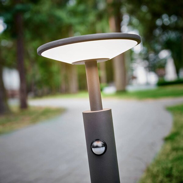 Lucande Fenia LED ösvény lámpa, 60 cm, érzékelő, IP54, antracit, Fekete, Alumínium, Modern