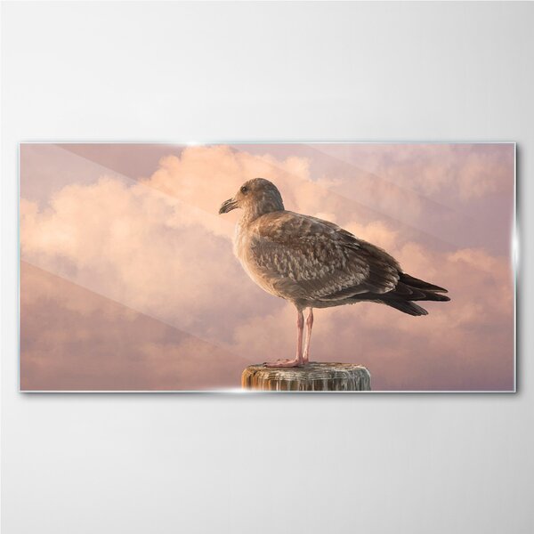 Üvegkép Állati madár Seagull Sky
