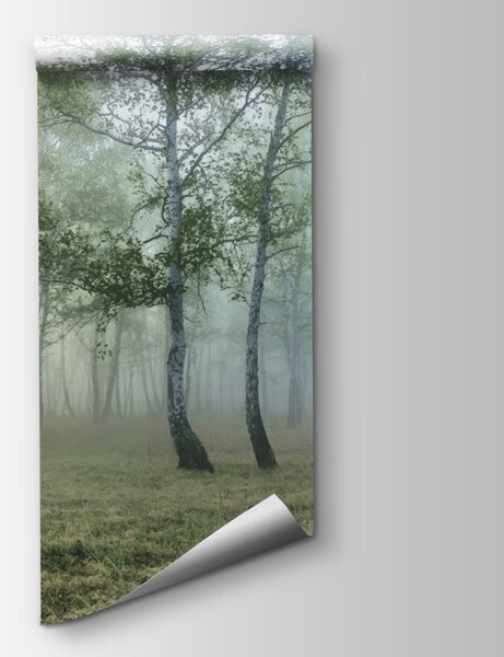 Fotótapéta Ködös erdő fákkal, Designer fali fotótapéta, Népszerű fotótapéta, u25820 - Tapeko.hu