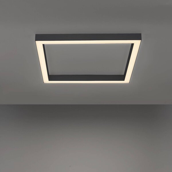 PURE LED mennyezeti lámpa Lines, 55x55 cm, antracit, CCT, távirányítós, dimmelhető, Fekete, Nappali / Étkező, Alumínium, Modern