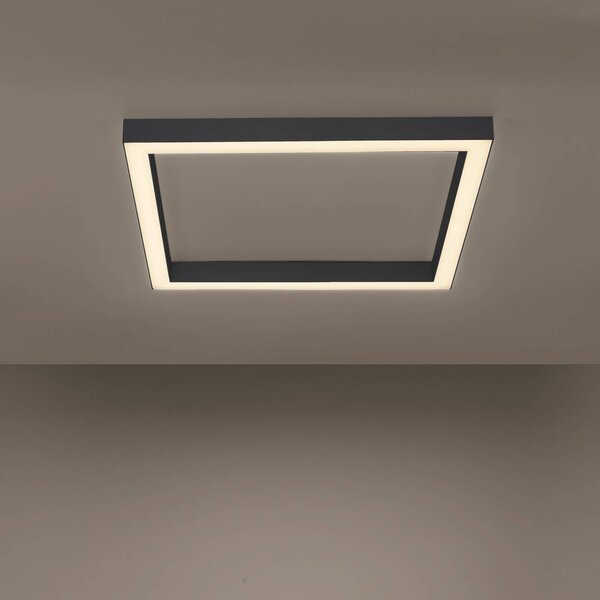 PURE LED mennyezeti lámpa Lines, 55x55 cm, antracit, CCT, távirányítós, dimmelhető, Fekete, Nappali / Étkező, Alumínium, Modern