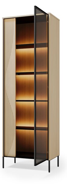 Könyvespolc Elinolo 107, Ajtókkal, Zárt, Üveg, Laminált forgácslap, 197x67x40cm, Tölgy, Fekete
