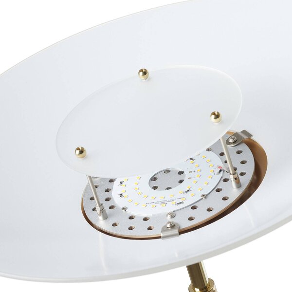 Paul Neuhaus LED állólámpa Alfred, sárgaréz színű, fényerőszabályzóval, dimmelhető, Sárgaréz / arany, Nappali / Étkező, fém, Modern