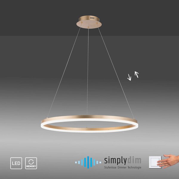Paul Neuhaus LED-es függőlámpa Titus, Ø 80 cm, sárgaréz, fényerőszabályozó, dimmelhető, Sárgaréz / arany, Nappali / Étkező, Alumínium, Modern