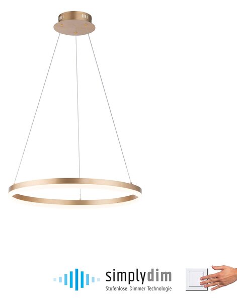 Paul Neuhaus LED-es függőlámpa Titus, Ø 60 cm, sárgaréz, fényerőszabályzóval, dimmelhető, Sárgaréz / arany, Nappali / Étkező, Alumínium, Modern