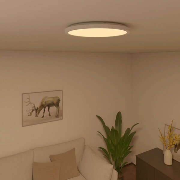 Calex Smart Halo LED-es mennyezeti lámpa, Ø 29,2 cm, dimmelhető, Fehér / opál, Nappali / Étkező, Műanyag, Modern