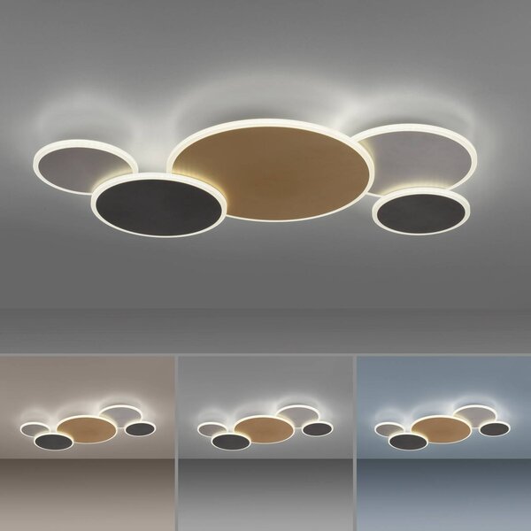 Q-Smart-Home Paul Neuhaus Q-Piato LED világítás 5 izzós, dimmelhető, Többszínű, Nappali / Étkező, fém, Modern