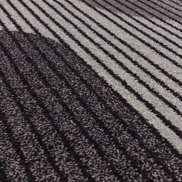 Szürke szőnyeg 170x120 cm Muse - Asiatic Carpets