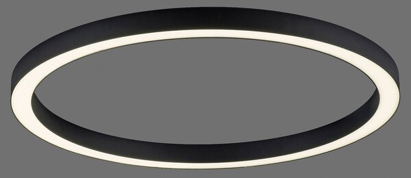 PURE LED mennyezeti lámpa Lines, Ø 70 cm, antracit, CCT, távirányító, dimmelhető, Fekete, Nappali / Étkező, Alumínium, Modern